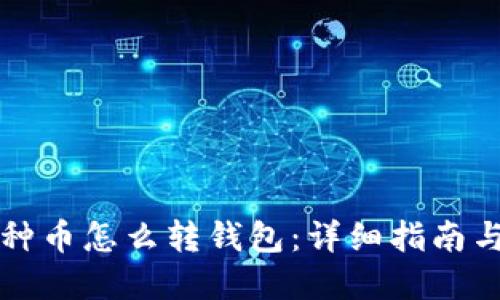 区块链各种币怎么转钱包：详细指南与实用技巧