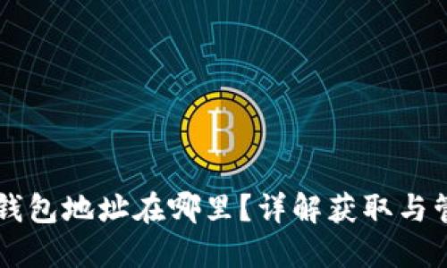 虚拟币钱包地址在哪里？详解获取与管理指南