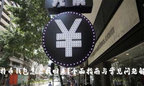 比特币钱包怎么找回来？全面指南与常见问题解答