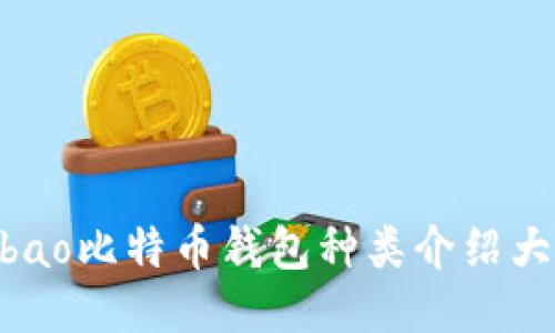 bibao比特币钱包种类介绍大全