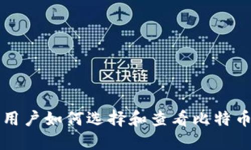 大陆用户如何选择和查看比特币钱包