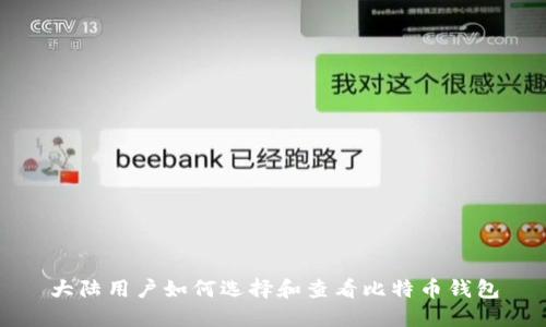 大陆用户如何选择和查看比特币钱包