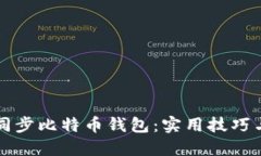 如何快速同步比特币钱包