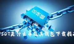 USDT是什么币及其钱包下载