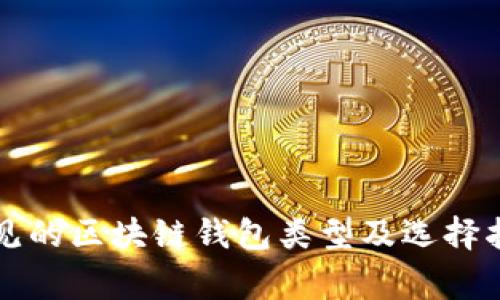 常见的区块链钱包类型及选择指南