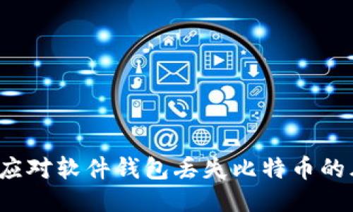 如何应对软件钱包丢失比特币的风险？