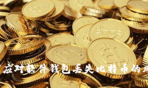 如何应对软件钱包丢失比特币的风险？