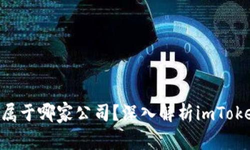 : imToken钱包属于哪家公司？深入解析imToken的背景与发展
