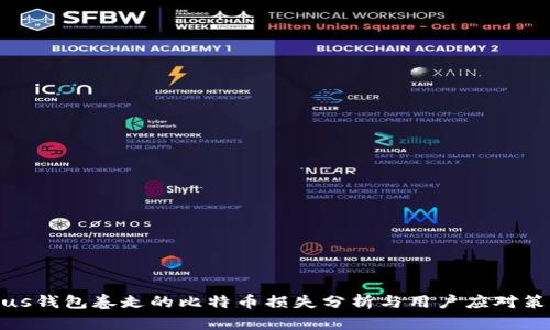 Plus钱包卷走的比特币损失分析与用户应对策略