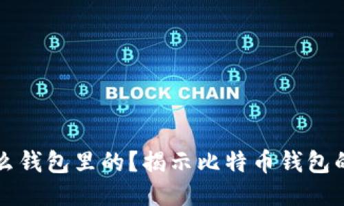 比特币是什么钱包里的？揭示比特币钱包的类型与特点