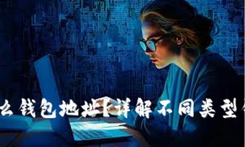 USDT提款用什么钱包地址？详解不同类型钱包和使用方法