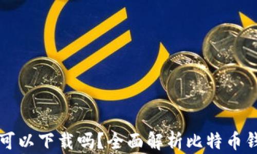 
比特币钱包的币可以下载吗？全面解析比特币钱包的使用与管理