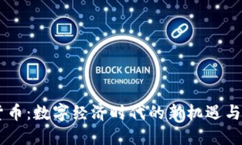 IM货币：数字经济时代的新机遇与挑战