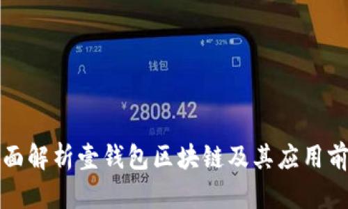 全面解析壹钱包区块链及其应用前景