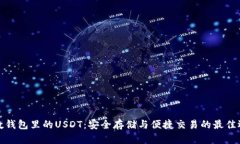 魔数钱包里的USDT：安全存