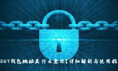 USDT钱包地址是什么意思？详细解析与使用指南