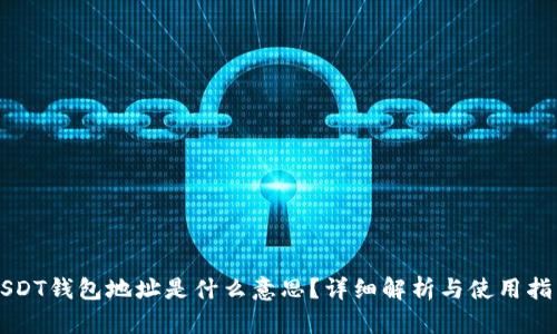 USDT钱包地址是什么意思？详细解析与使用指南