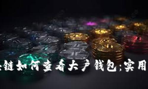 区块链如何查看大户钱包：实用指南