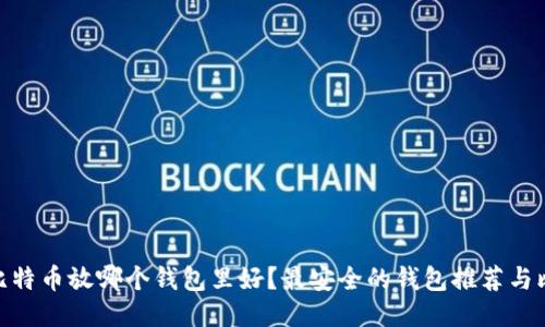 : 比特币放哪个钱包里好？最安全的钱包推荐与比较