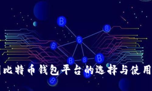 中国比特币钱包平台的选择与使用指南