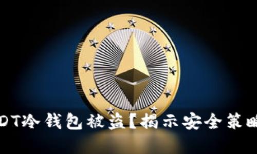 如何防范USDT冷钱包被盗？揭示安全策略与防护技巧