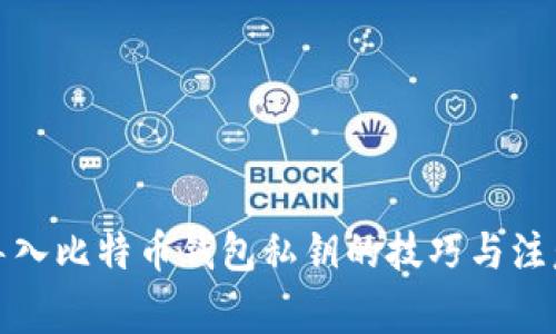 轻松导入比特币钱包私钥的技巧与注意事项