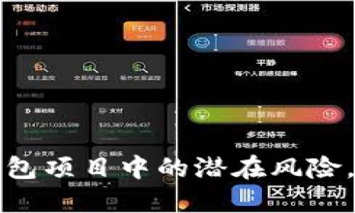 揭示区块链钱包项目中的潜在风险，助你明智投资