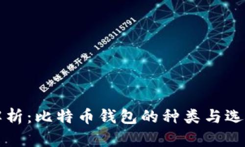 全面解析：比特币钱包的种类与选择指南