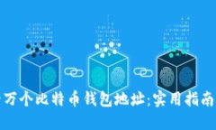 如何获取一万个比特币钱包地址：实用指南与安