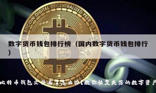 比特币钱包文件丢了怎么办？教你恢复失落的数字资产