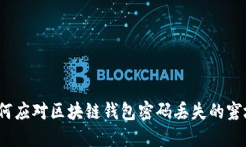 如何应对区块链钱包密码丢失的窘境？