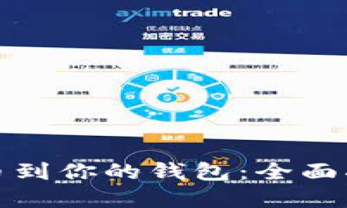 轻松导入虚拟币到你的钱包：全面指南一步步操作