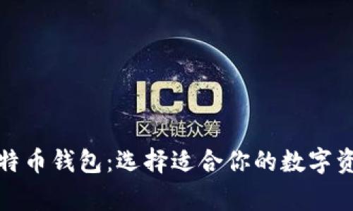 探索常用比特币钱包：选择适合你的数字资产管理工具