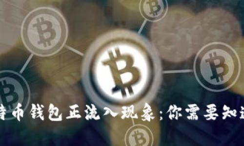 解读比特币钱包正流入现象：你需要知道的一切