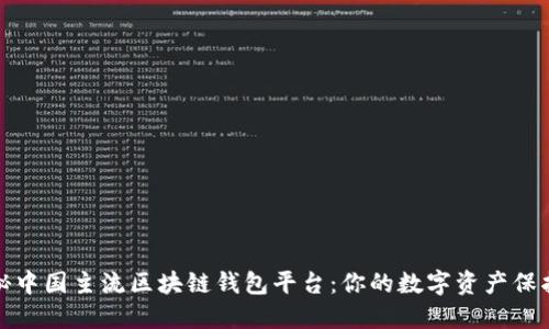 探秘中国主流区块链钱包平台：你的数字资产保护者