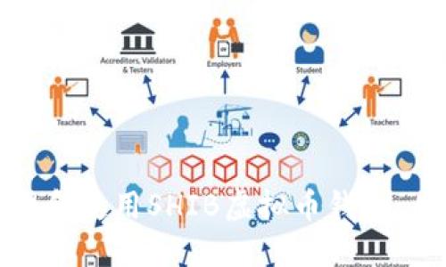 如何安全管理和使用SHIB虚拟币钱包：从基础到进阶