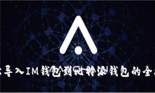 轻松导入IM钱包到比特派钱包的全攻略