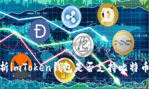 全面解析imToken钱包是否支持比特币的存储