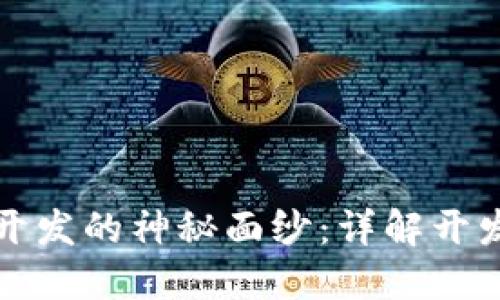 揭开区块链钱包开发的神秘面纱：详解开发流程及关键要点