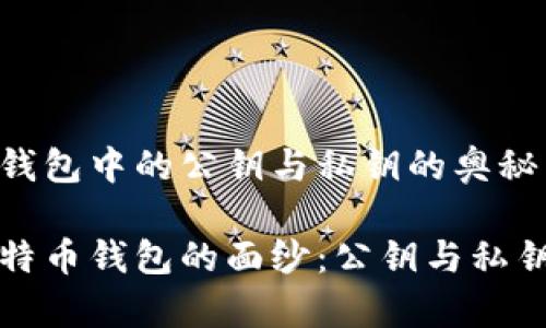 比特币钱包中的公钥与私钥的奥秘

揭开比特币钱包的面纱：公钥与私钥的真相
