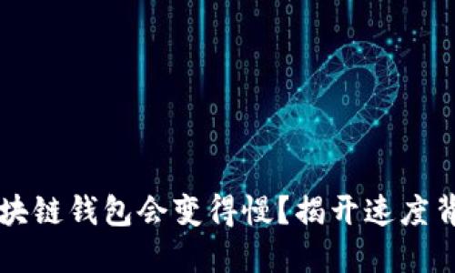 为什么区块链钱包会变得慢？揭开速度背后的秘密