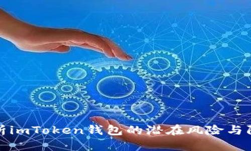深入分析imToken钱包的潜在风险与防护策略