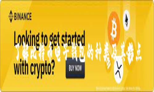 了解比特币电子钱包的种类及其特点