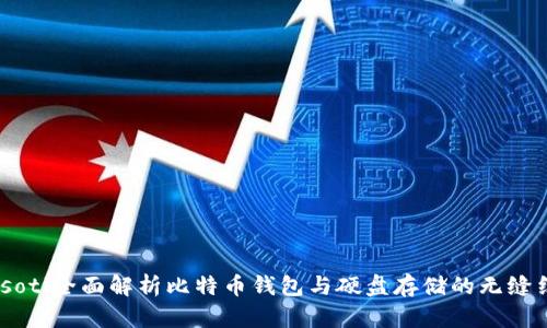 biasoti全面解析比特币钱包与硬盘存储的无缝结合