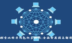 探索比特币钱包的多样性