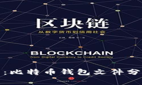 深入探索：比特币钱包文件分析的奥秘