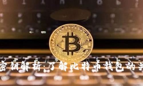比特币钱包密钥解析：了解比特币钱包的关键安全信息