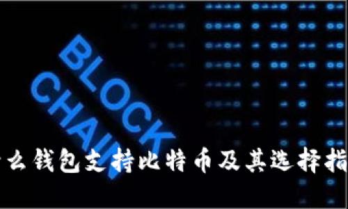 什么钱包支持比特币及其选择指南