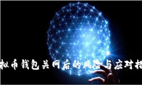 虚拟币钱包关网后的风险与应对措施