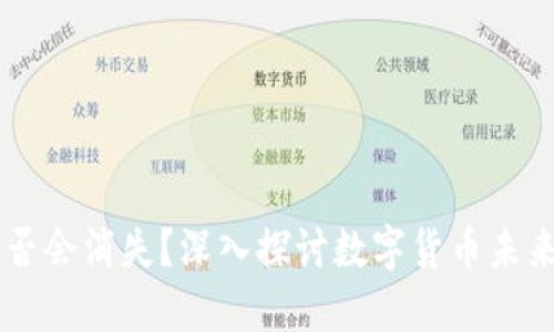 虚拟币钱包是否会消失？深入探讨数字货币未来的发展与变革